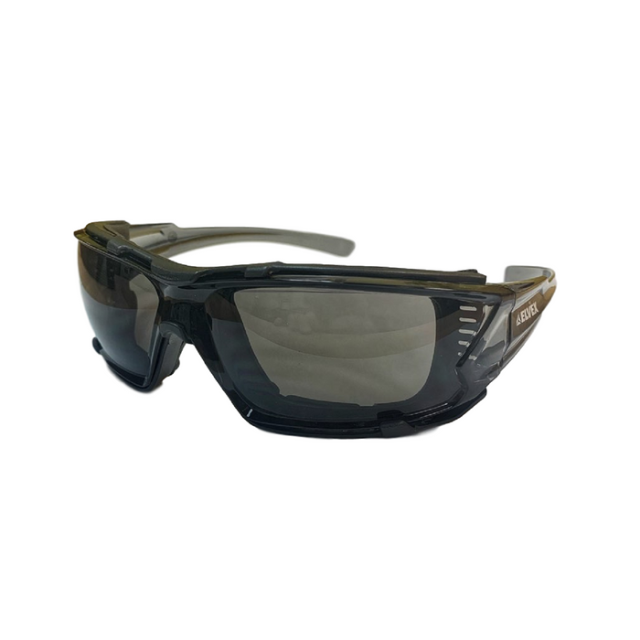 Go-Specs IV Safety Glasses/Goggle-Like Protection with Temple Slots and Ventilation Ports, Anti-Fog Lens